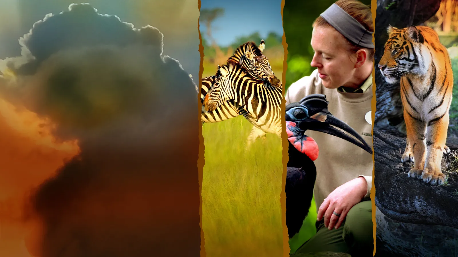Gli eroi del Disney Animal Kingdom streaming ita
