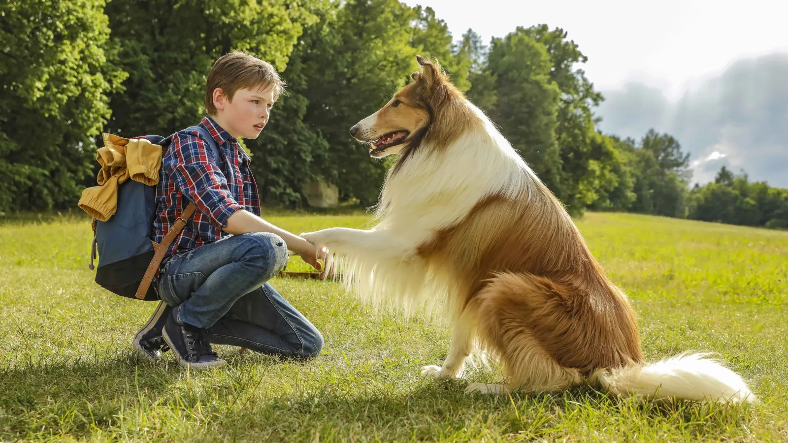 Lassie torna a casa streaming ita