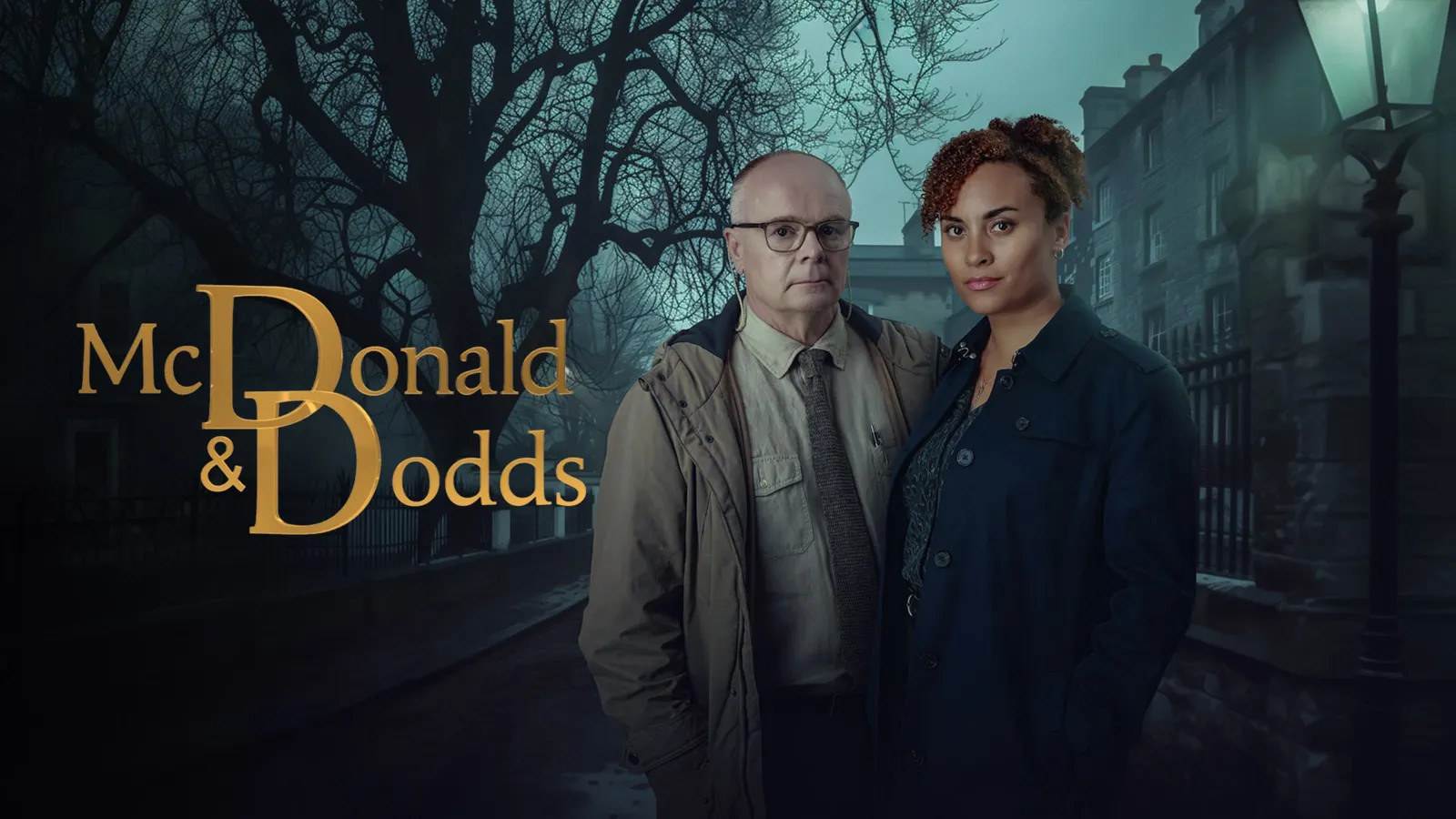 McDonald &amp; Dodds streaming ita