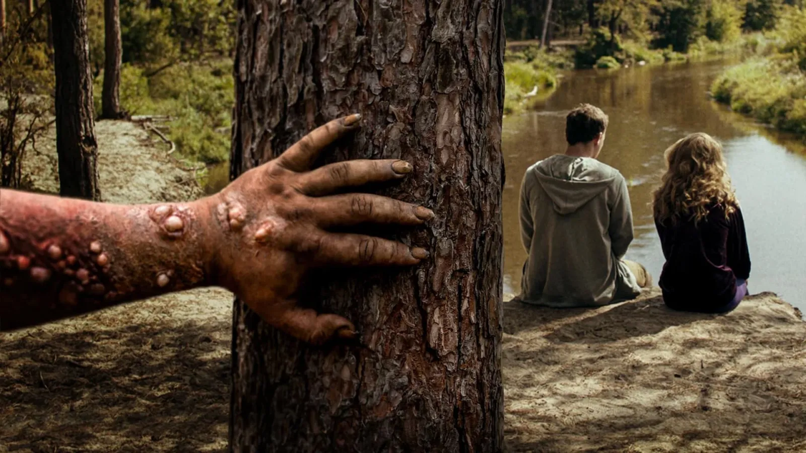 Non dormire nel bosco stanotte streaming ita
