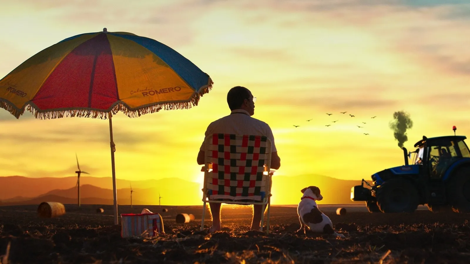 Pessime storie streaming ita