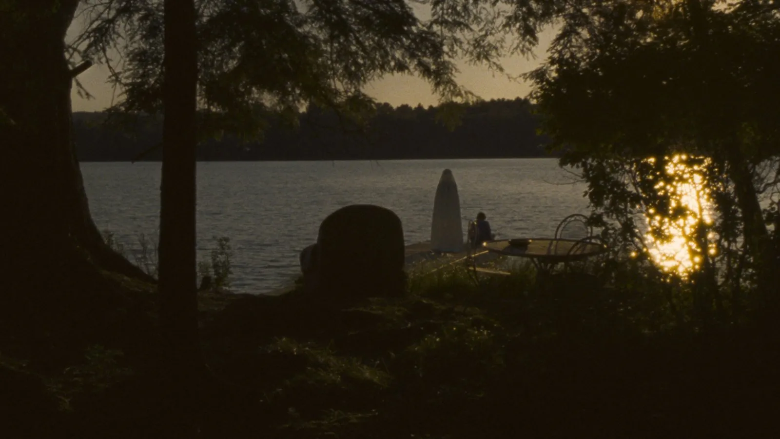 Falcon Lake streaming ita