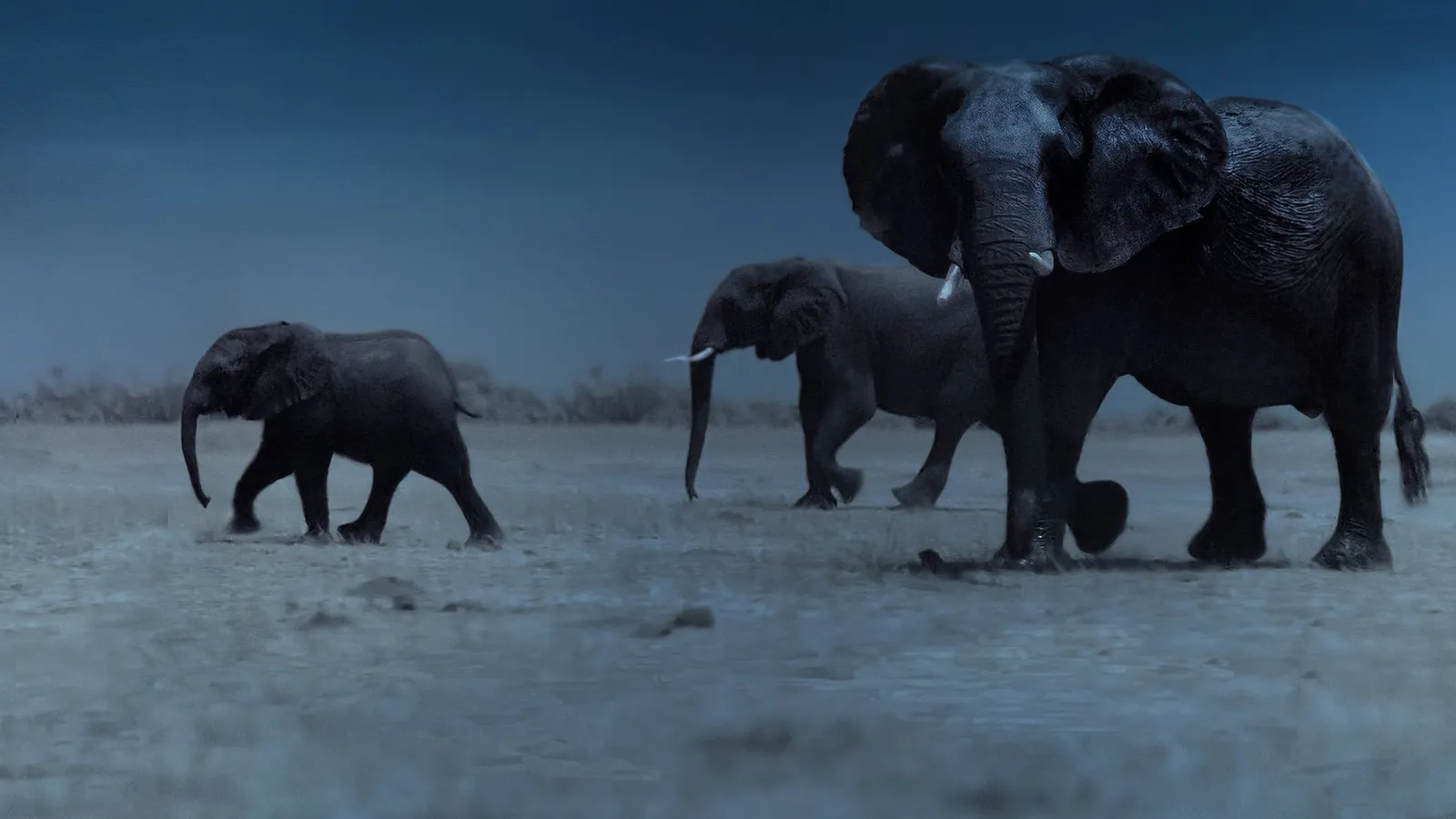 Notte sul pianeta Terra streaming ita