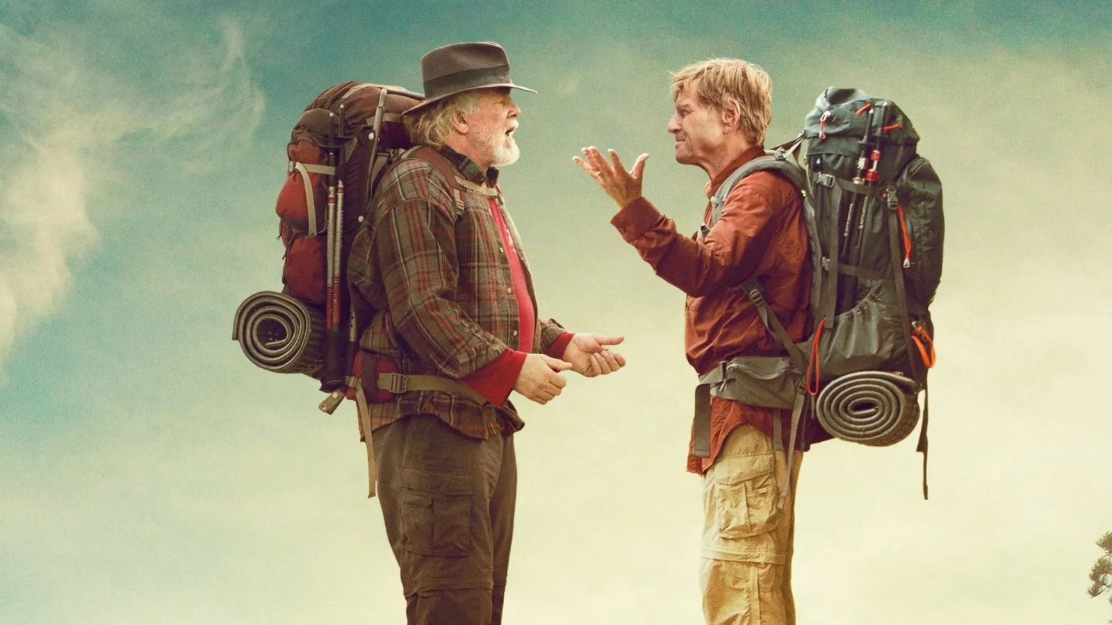 A Walk in the Woods - A Spasso Nel Bosco streaming ita