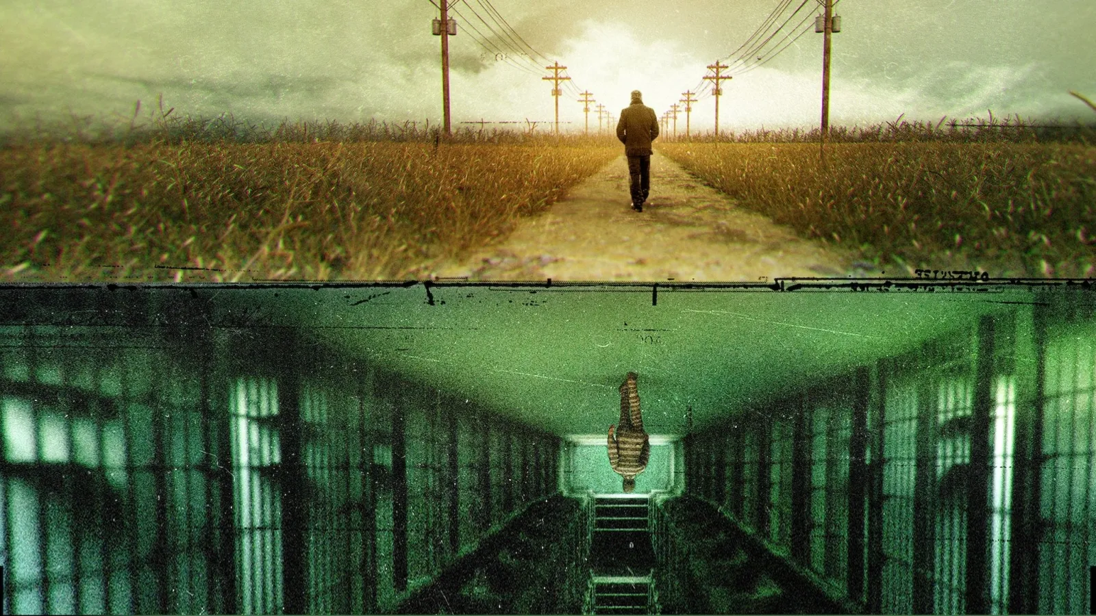 The Innocence Files streaming ita