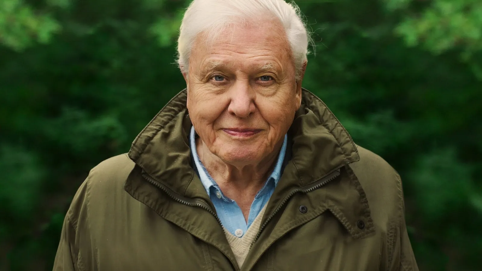 David Attenborough: una vita sul nostro pianeta streaming ita