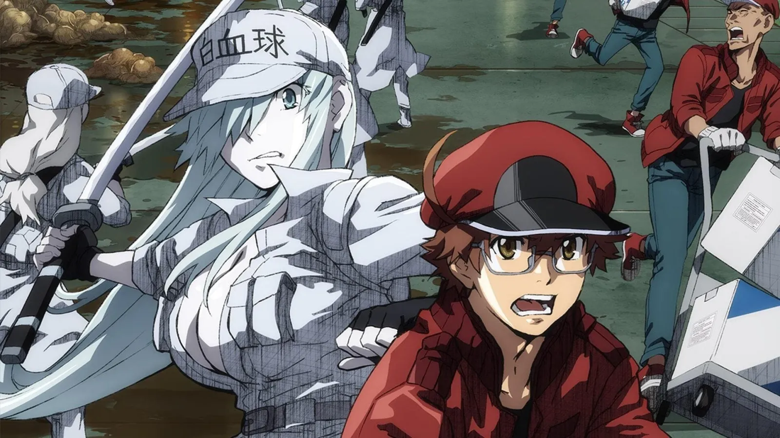 Cells at Work!: Code Black streaming ita