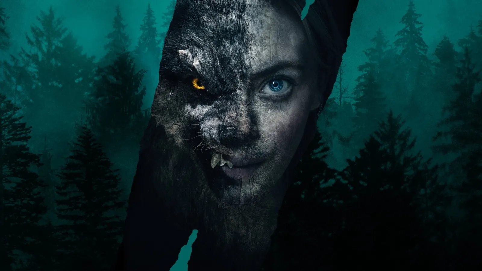 Viking Wolf streaming ita