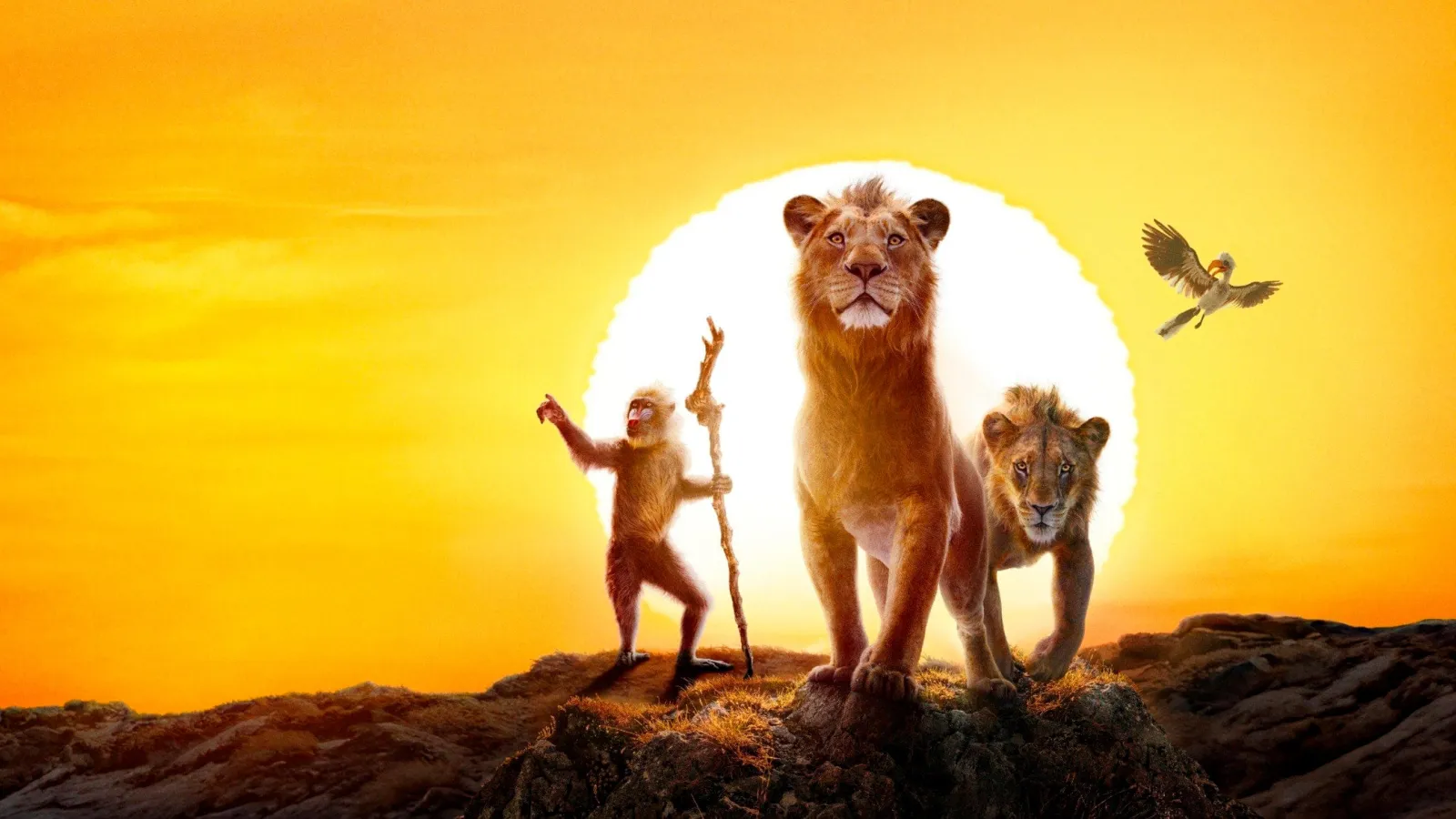 Mufasa: Il re leone streaming ita