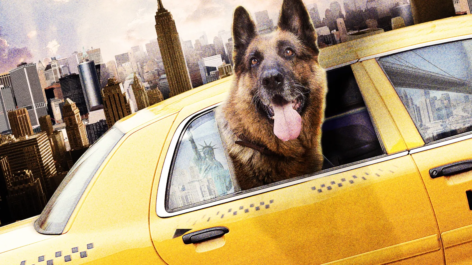 Cool Dog - Rin Tin Tin a New York streaming ita