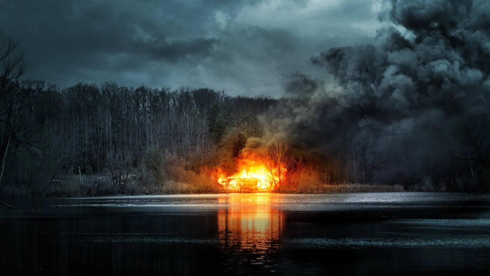 Shimmer Lake streaming ita