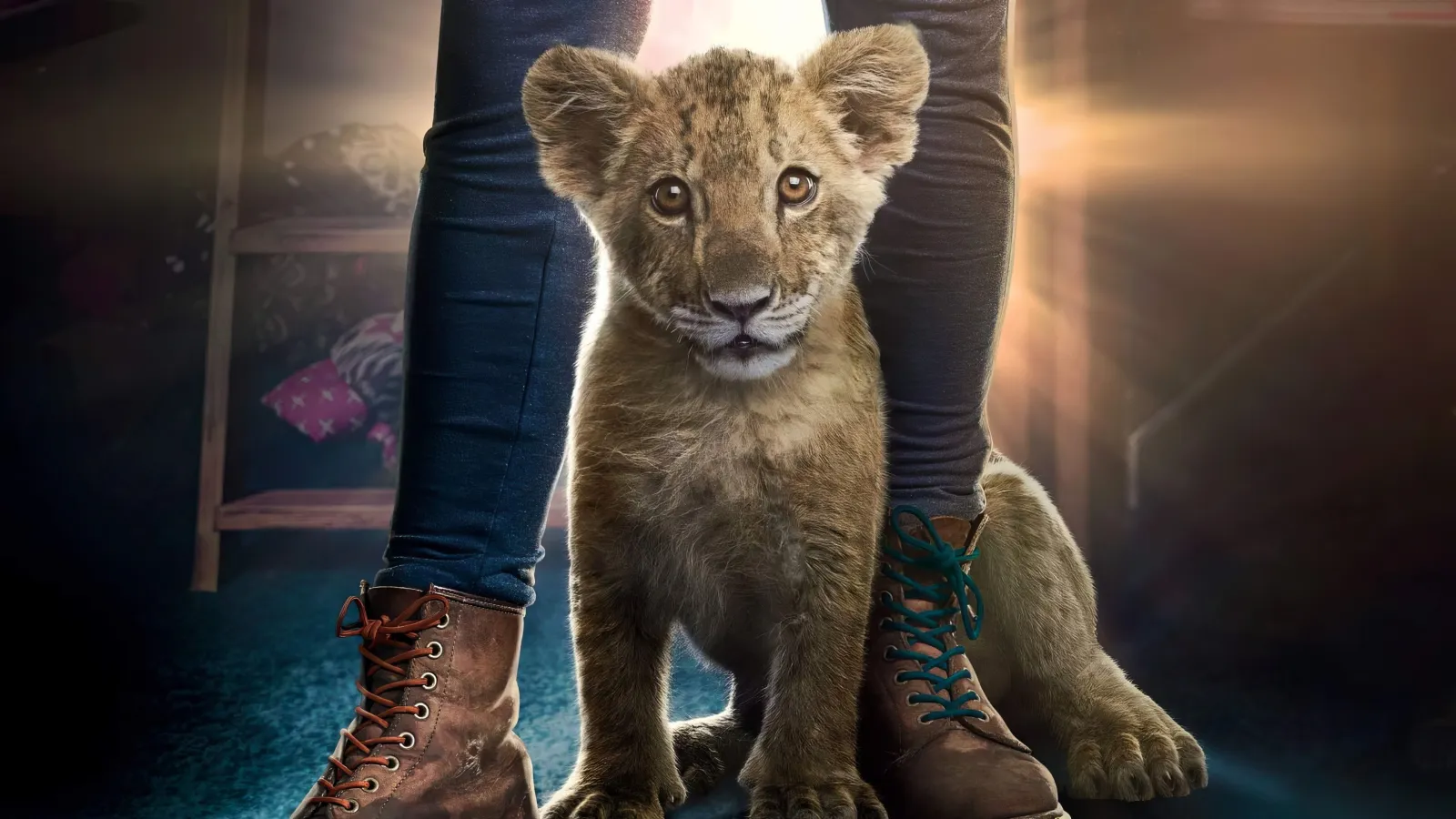 King - Un Cucciolo da Salvare streaming ita