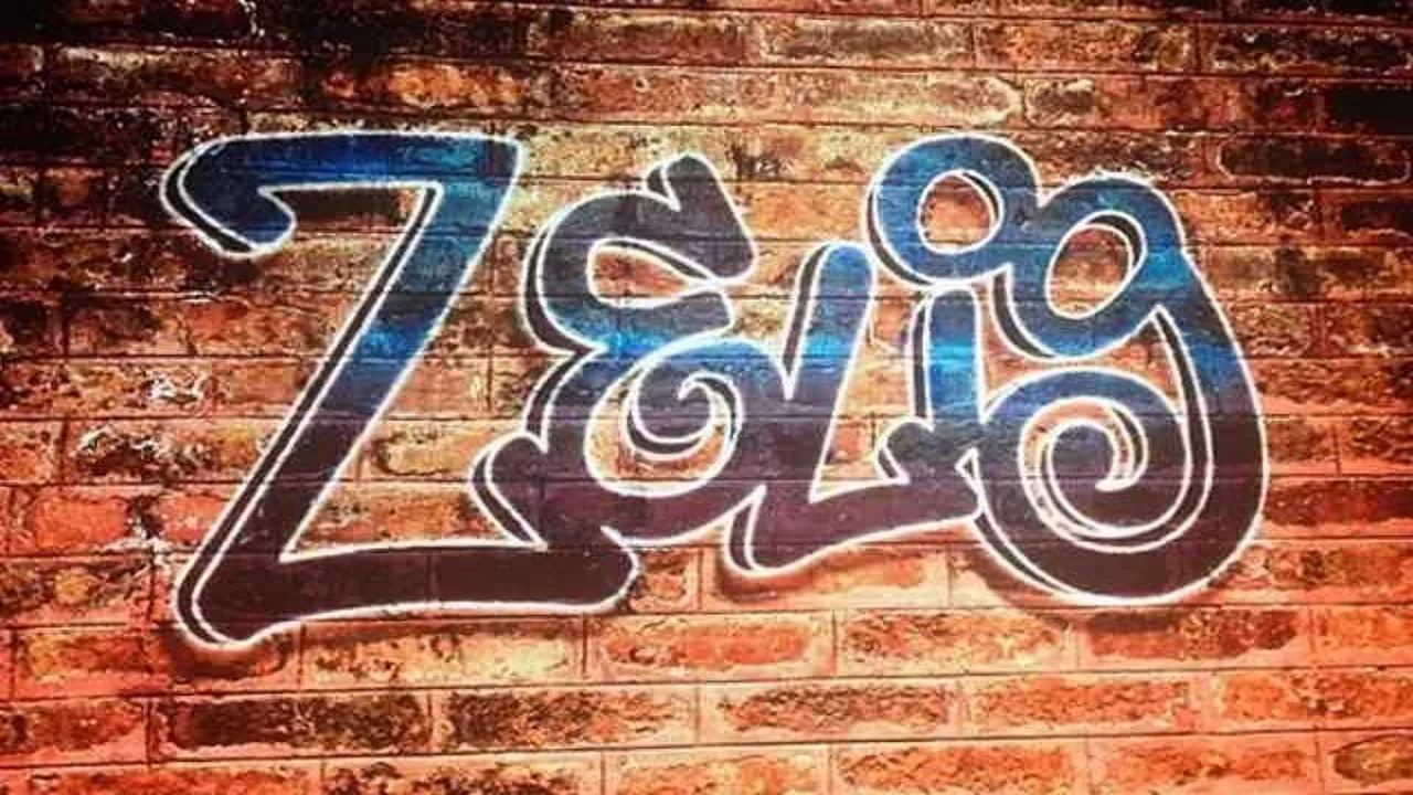 Zelig streaming ita