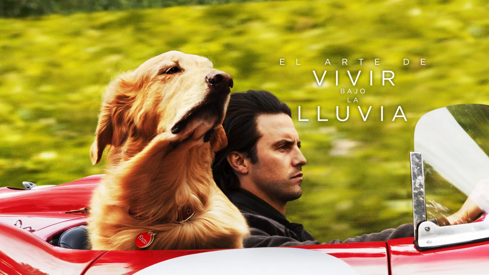 Attraverso i miei occhi streaming ita