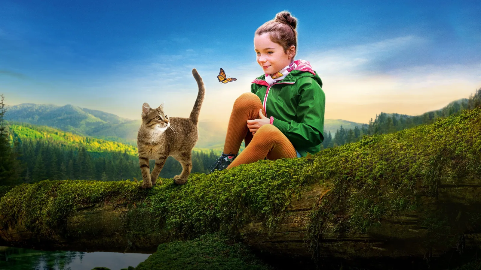 Vita da gatto streaming ita