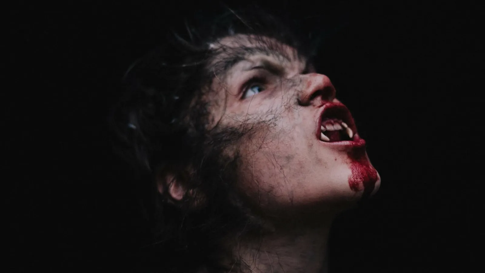 Wolfkin streaming ita