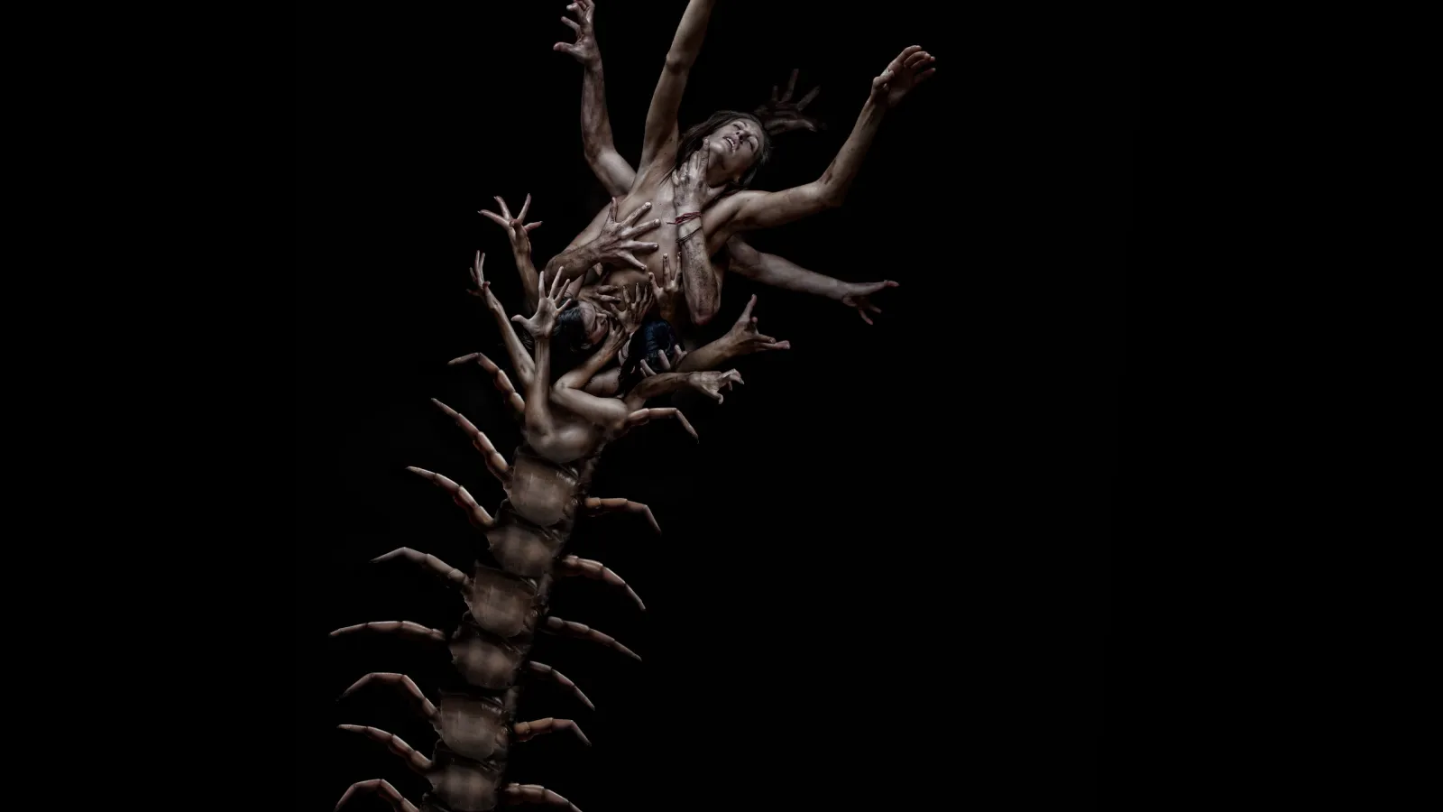 The Human Centipede 2 streaming ita