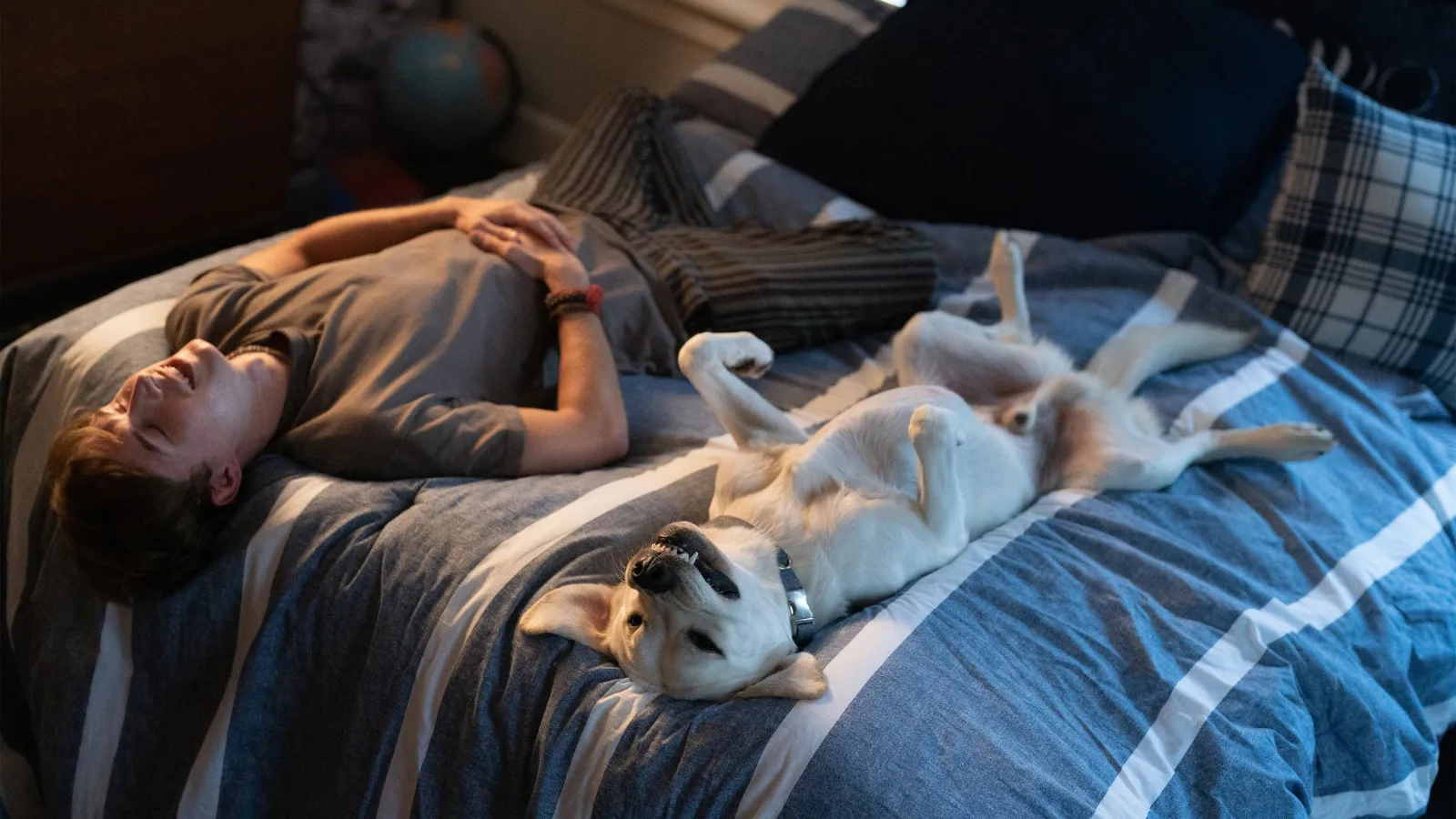 Dog Gone - Lo straordinario viaggio di Gonker streaming ita