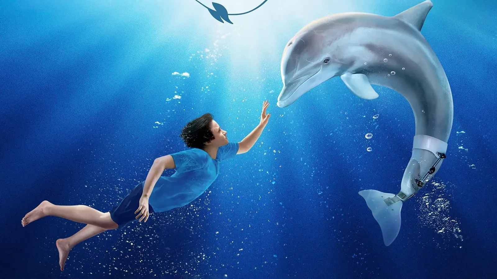 L'incredibile storia di Winter il delfino streaming ita