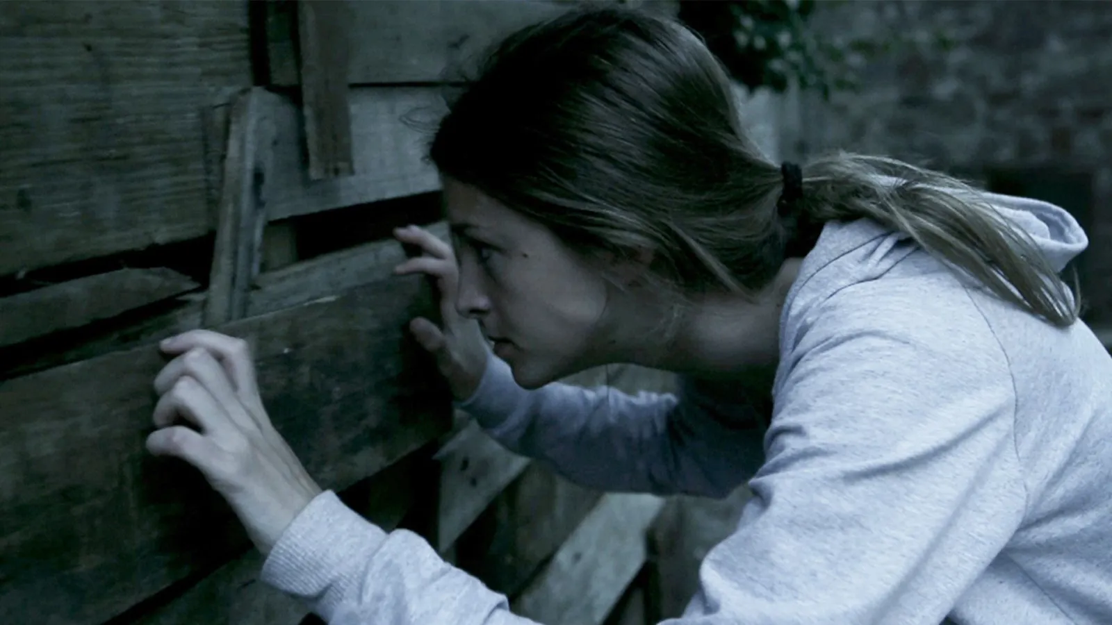 La Casa Muta streaming ita
