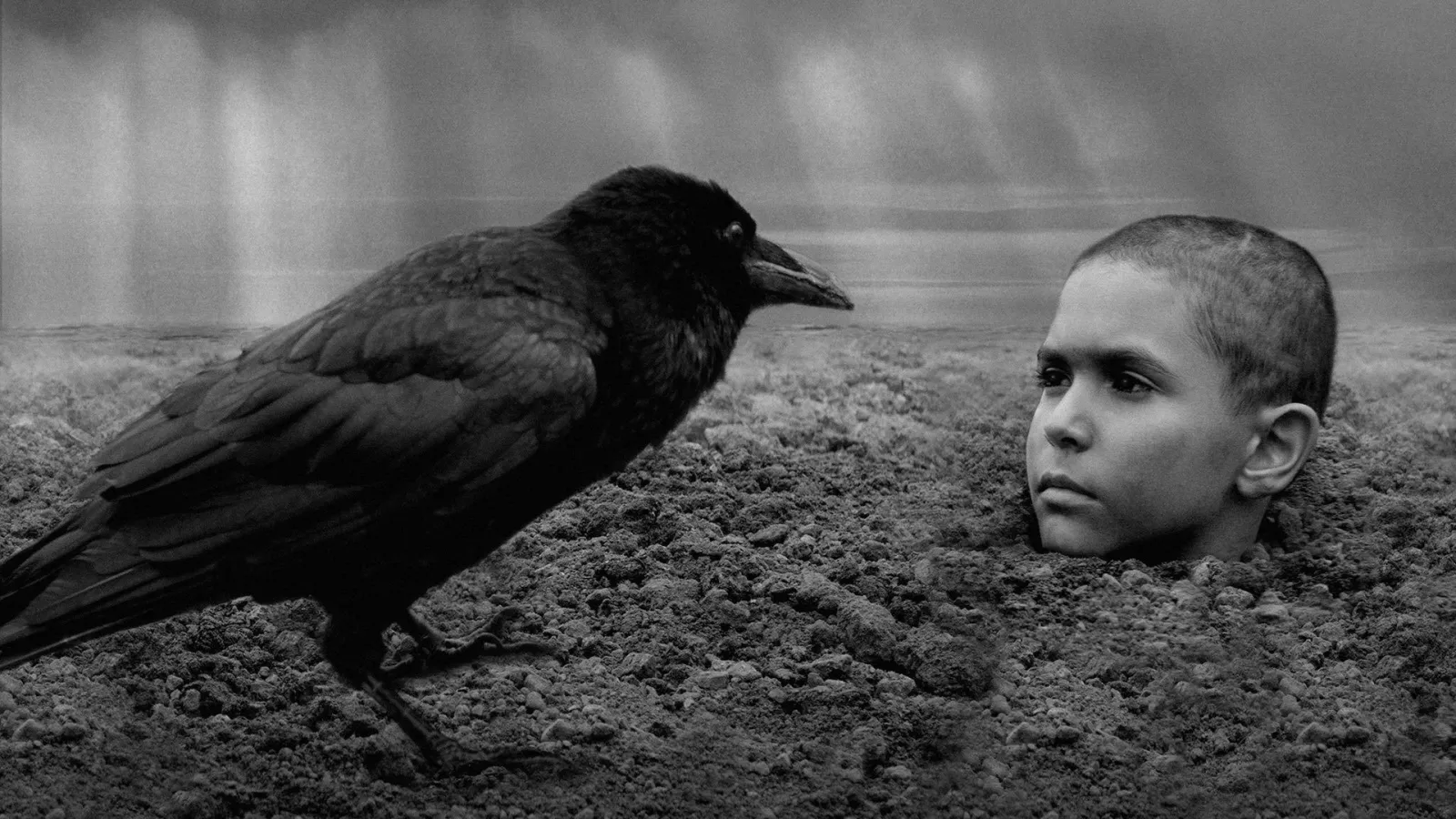 The Painted Bird - Nabarvené ptáče streaming ita