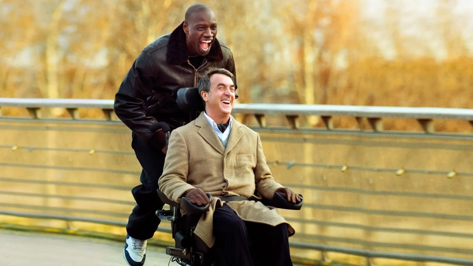 Quasi amici - Intouchables streaming ita