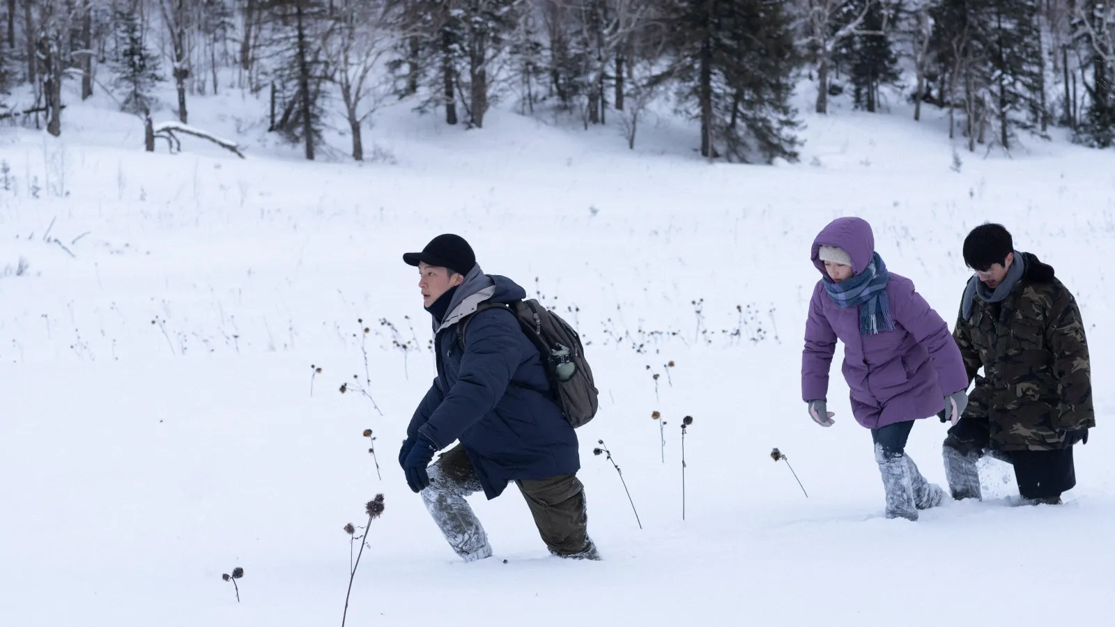 The Breaking Ice streaming ita