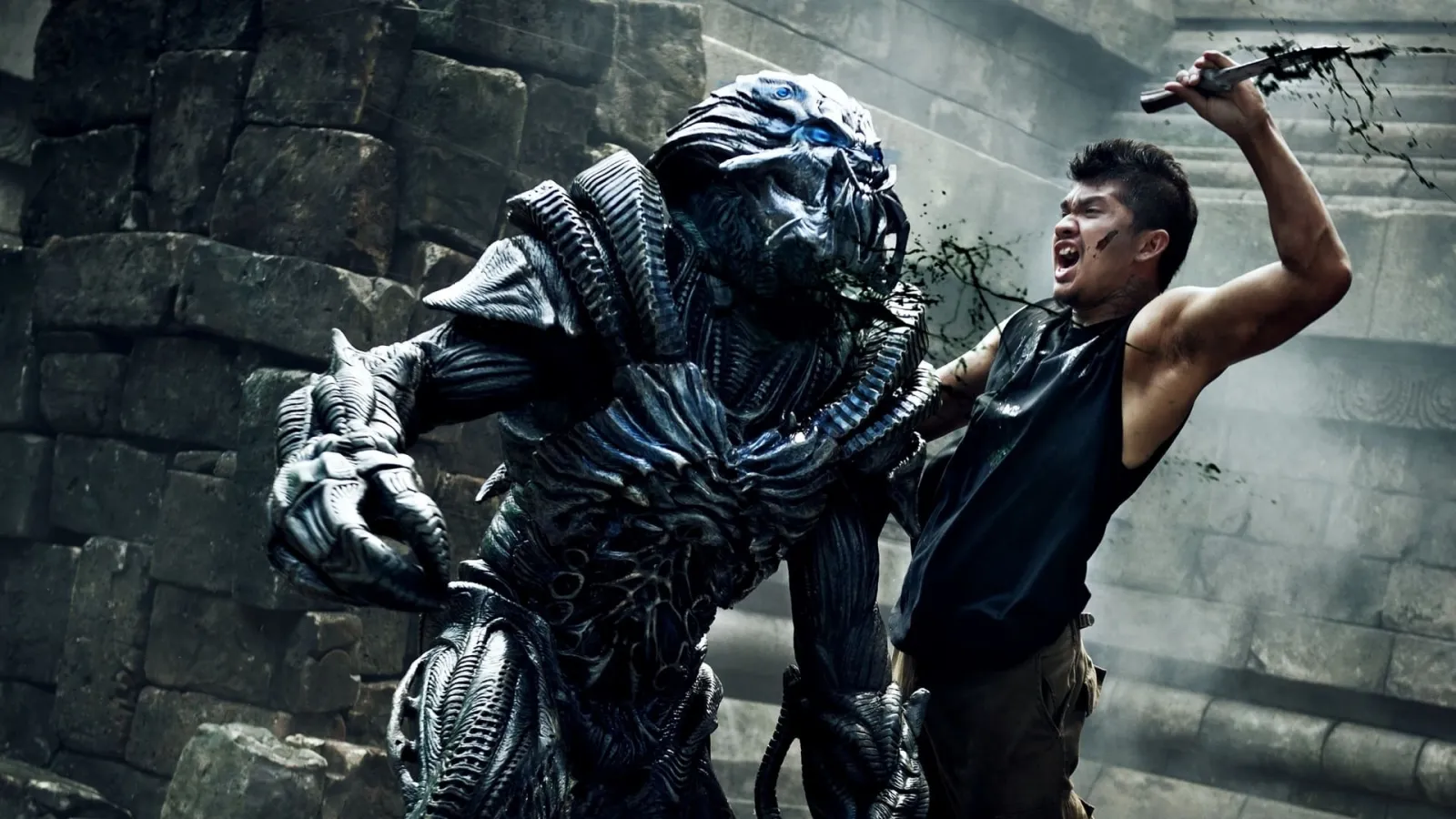 Beyond Skyline streaming ita