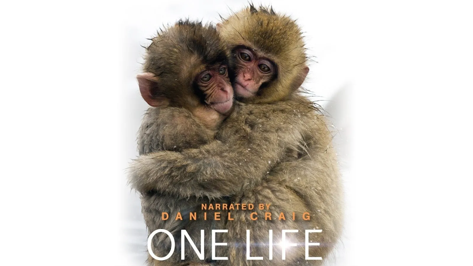 One Life streaming ita