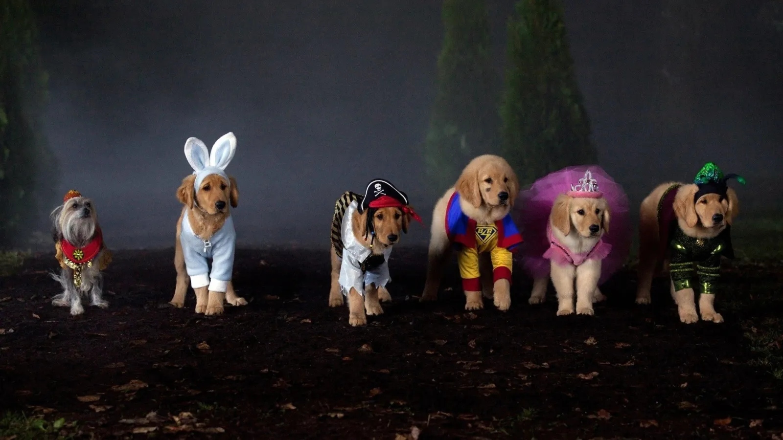Supercuccioli - Un'avventura da paura! streaming ita
