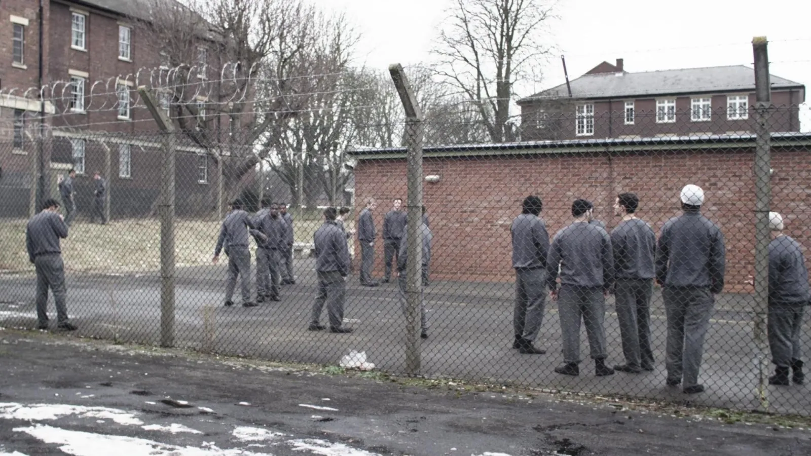 Offender streaming ita