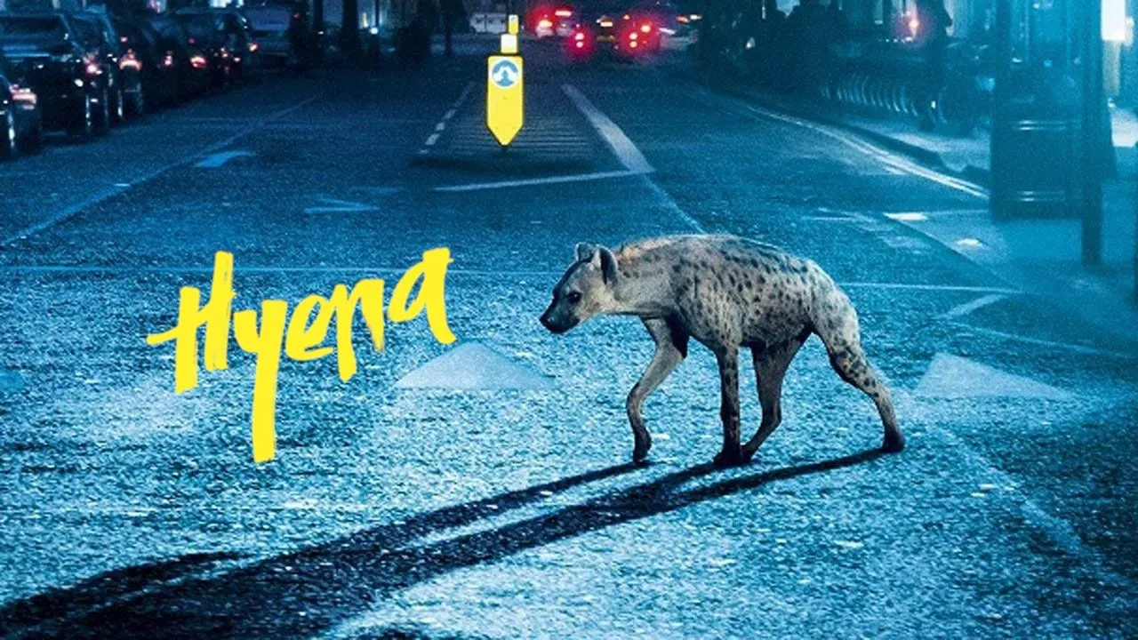 Hyena streaming ita