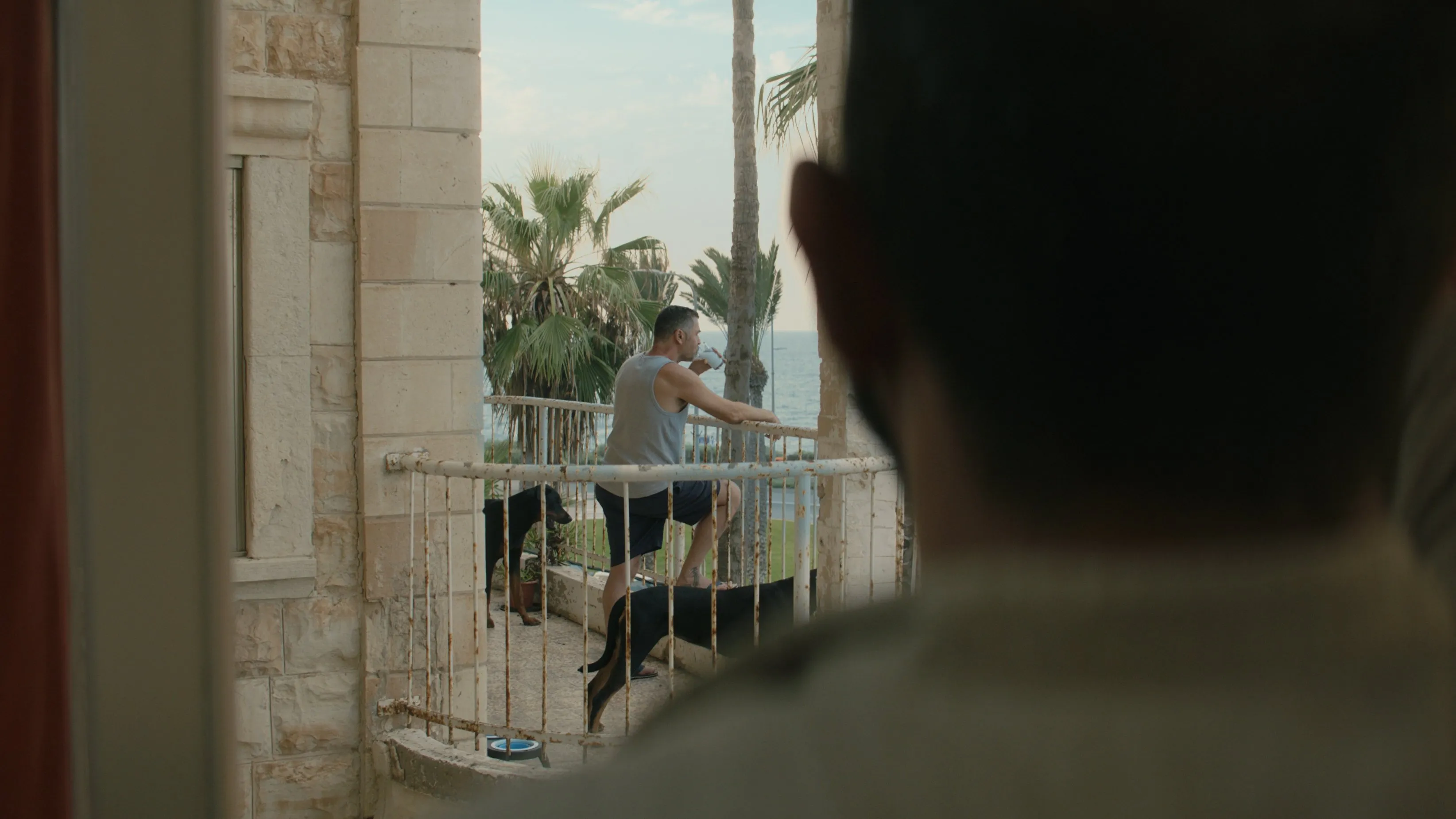 Mediterranean Fever streaming ita