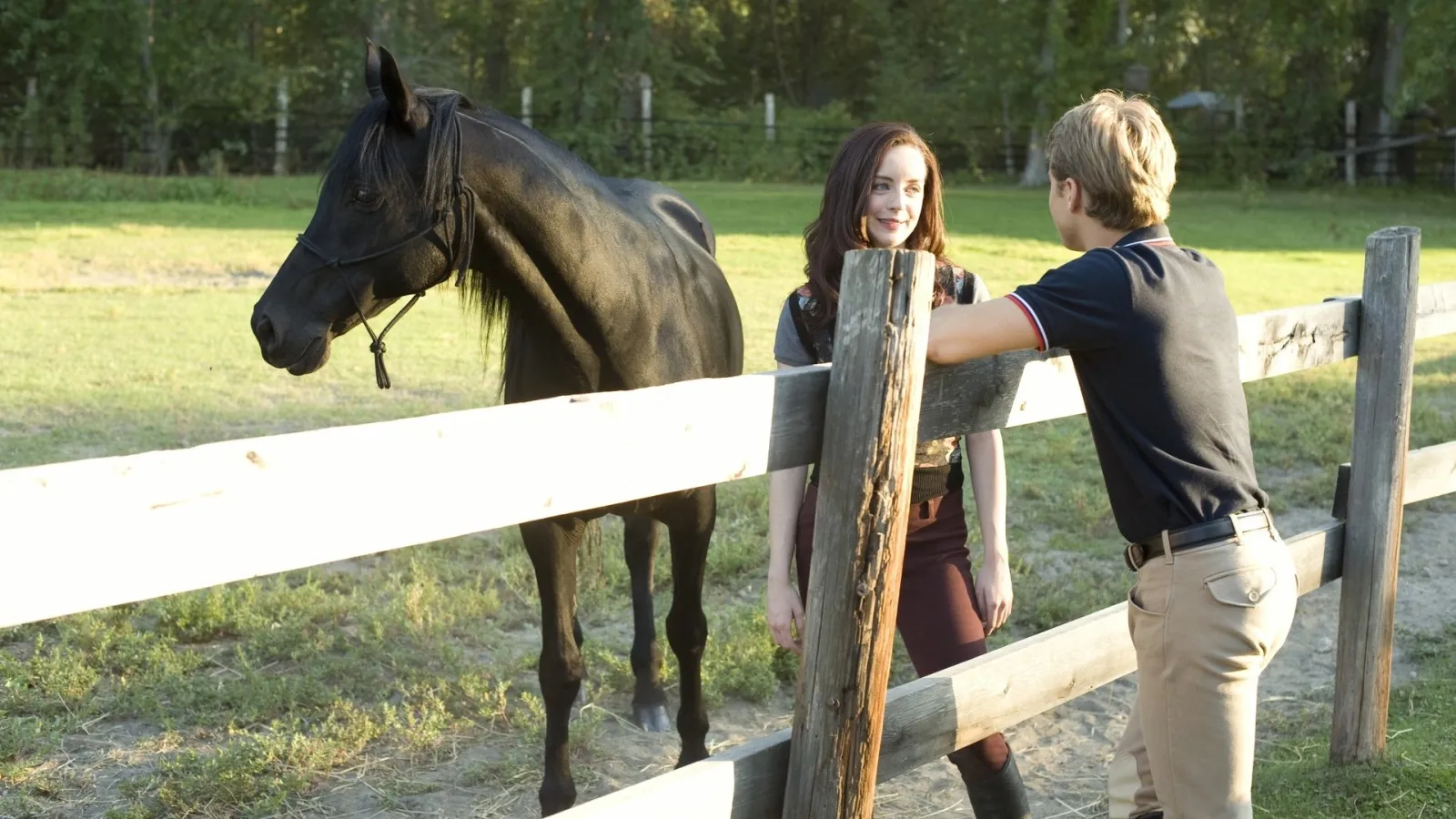 Flicka 3 – Ragazza selvaggia streaming ita