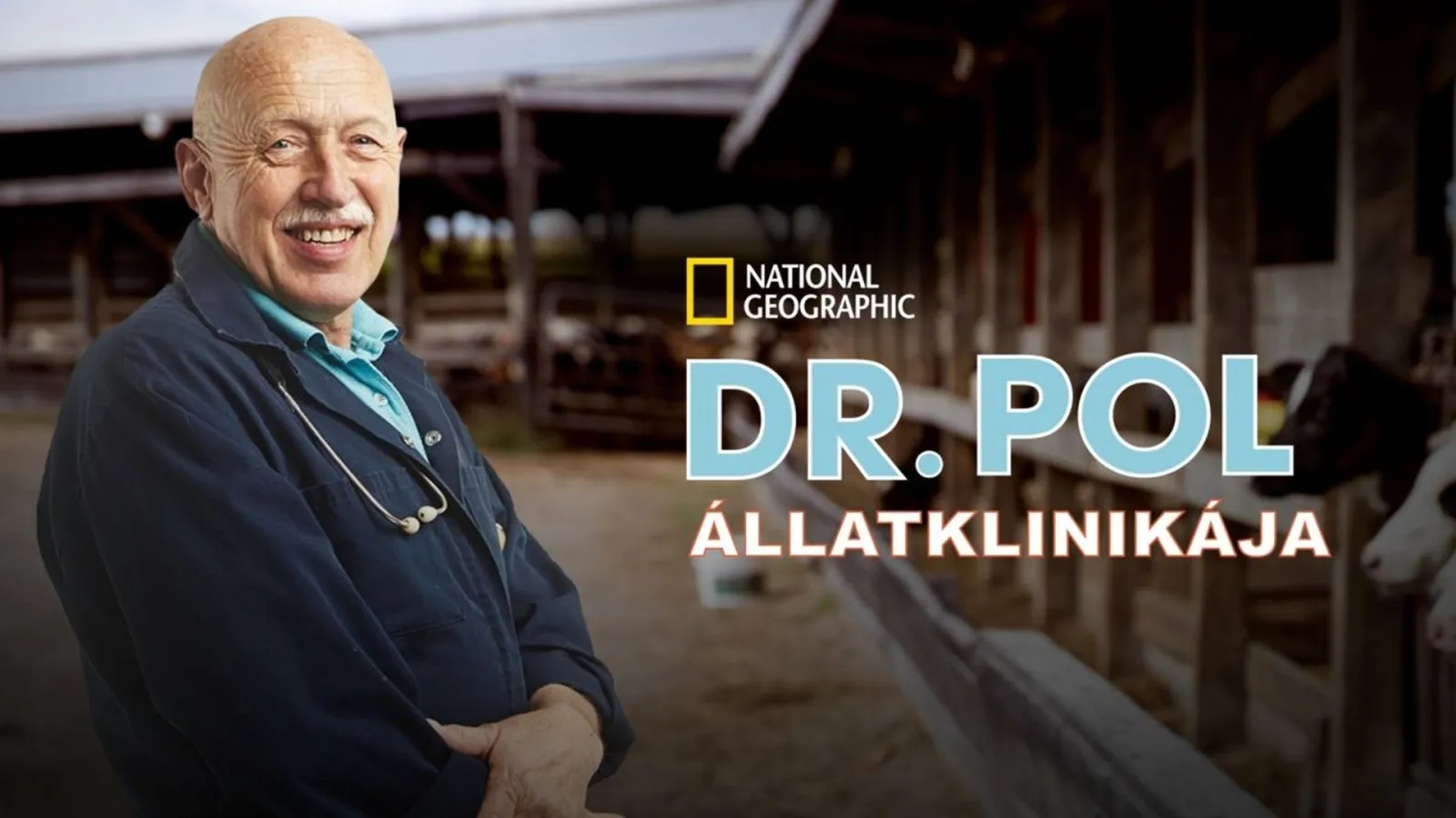 L'incredibile.Dr..Pol streaming ita