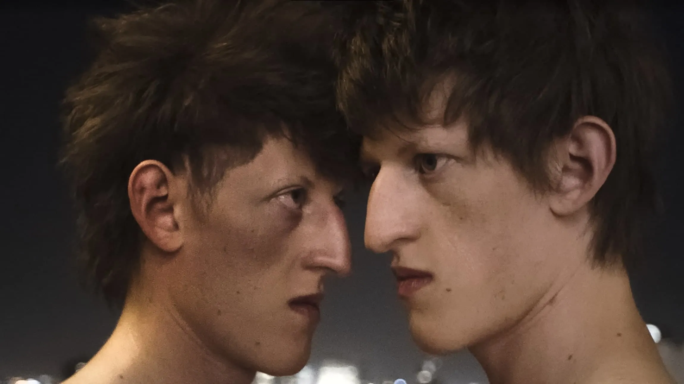 La timidezza delle chiome streaming ita