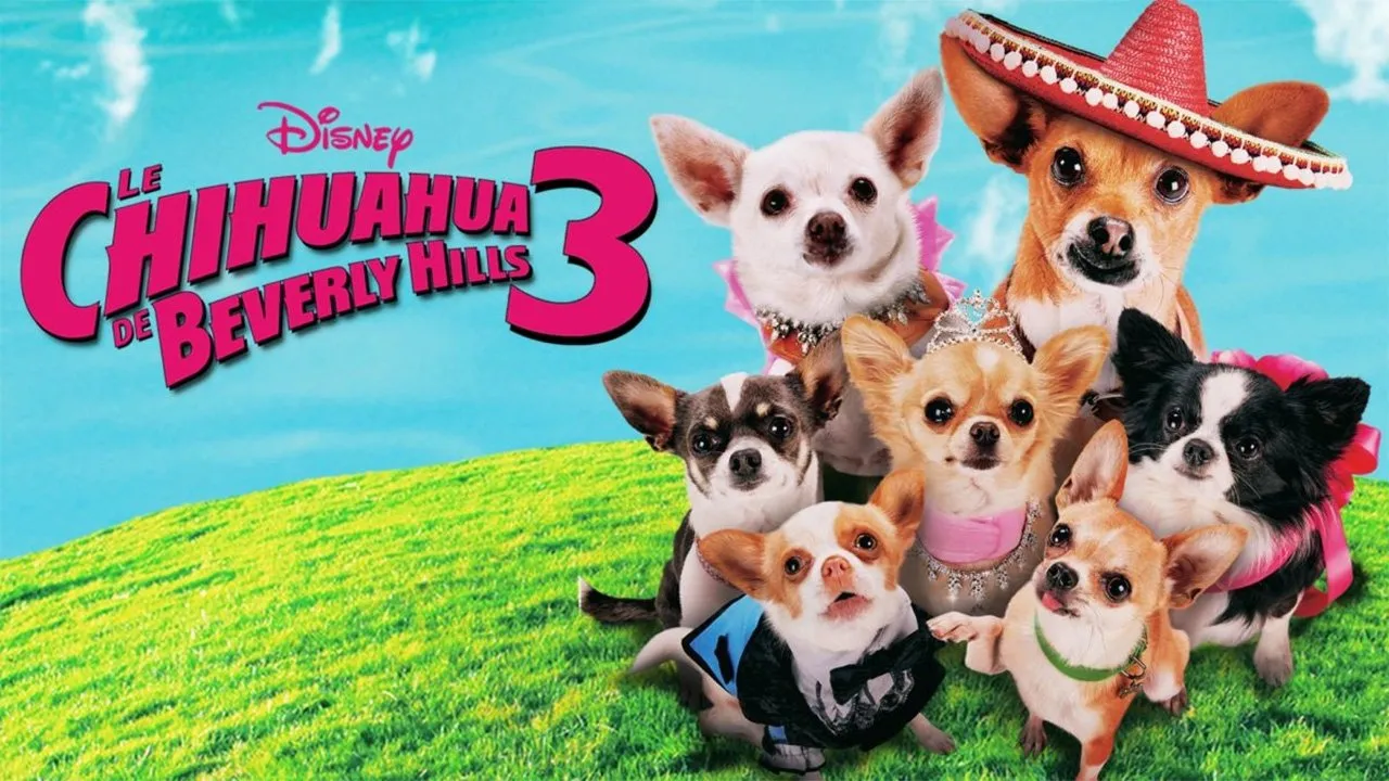 Beverly Hills Chihuahua 3 - Viva La Fiesta! streaming ita