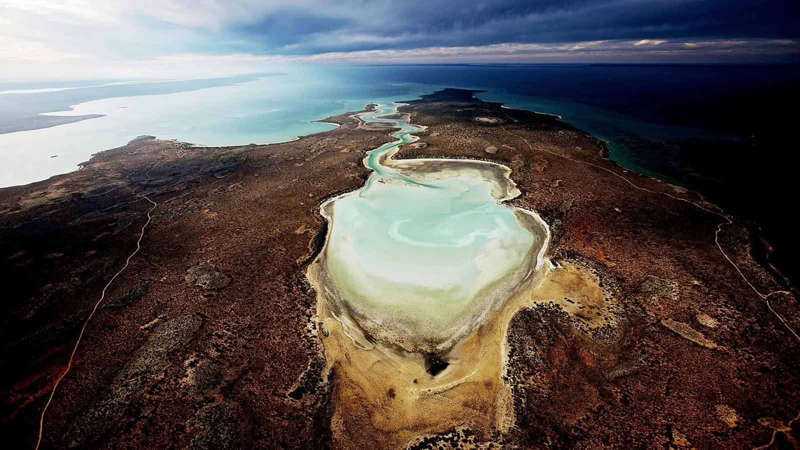 Planet Ocean streaming ita