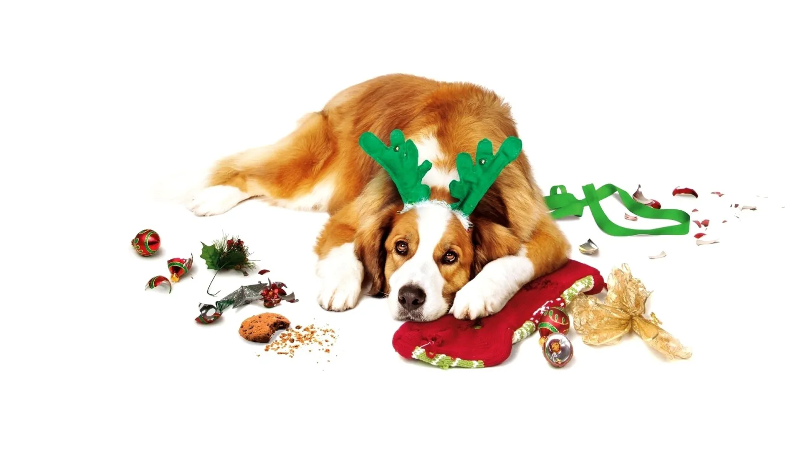Natale all'improvviso streaming ita