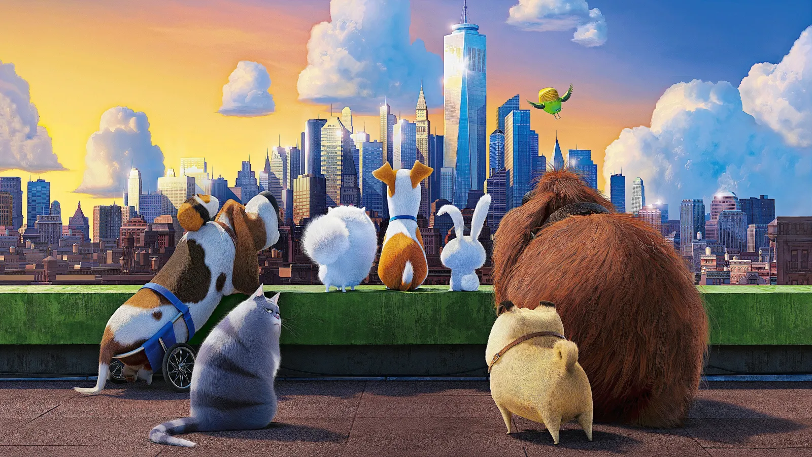 Pets - Vita da animali streaming ita