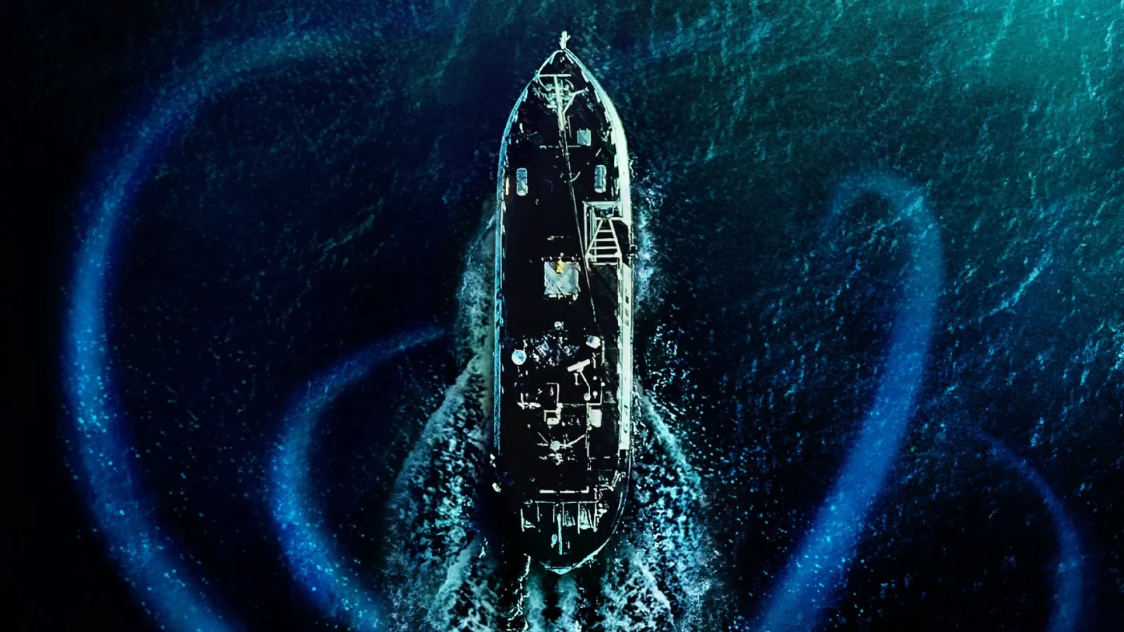 Sea Fever - Contagio in alto mare streaming ita