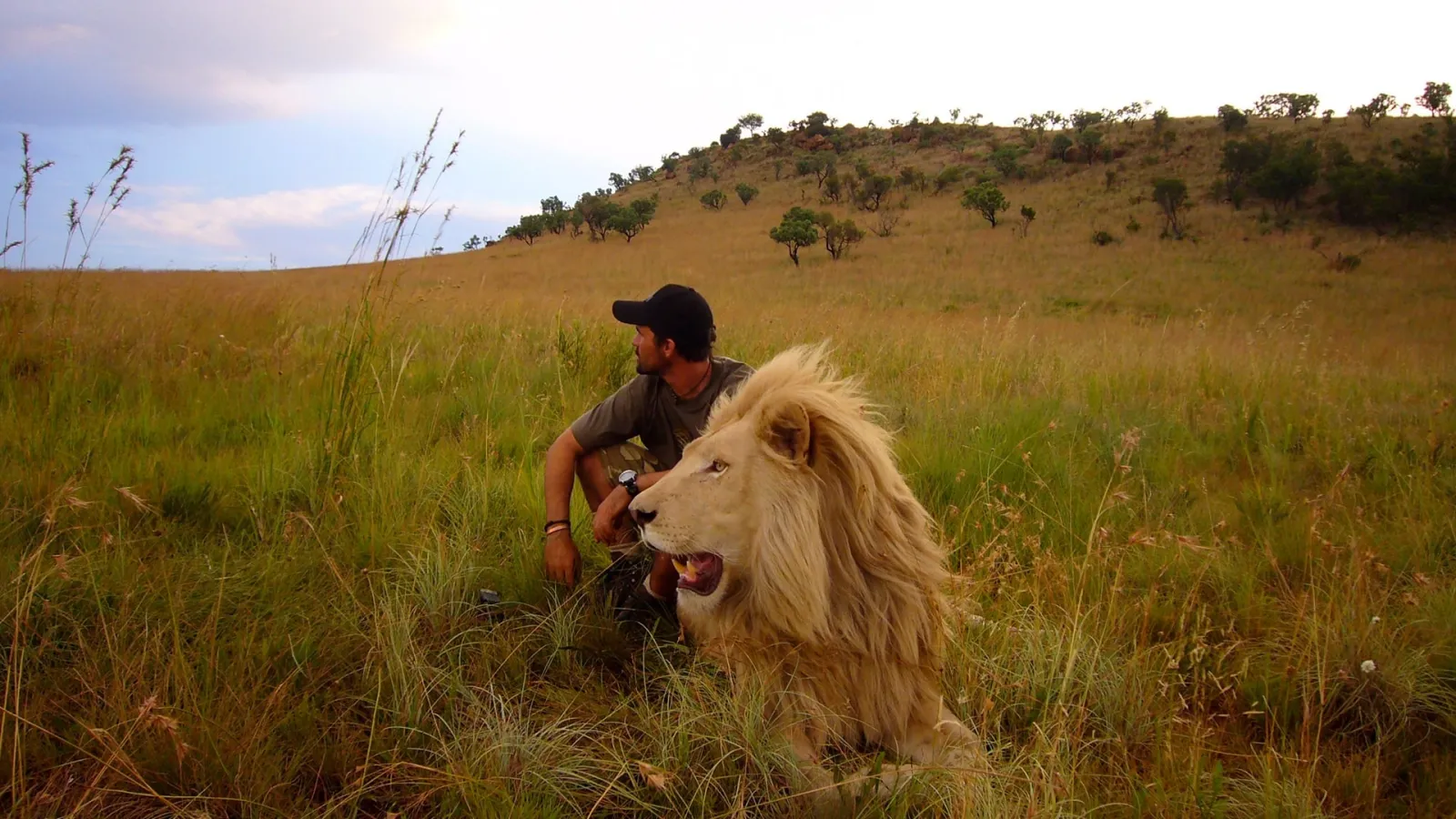 African Safari streaming ita