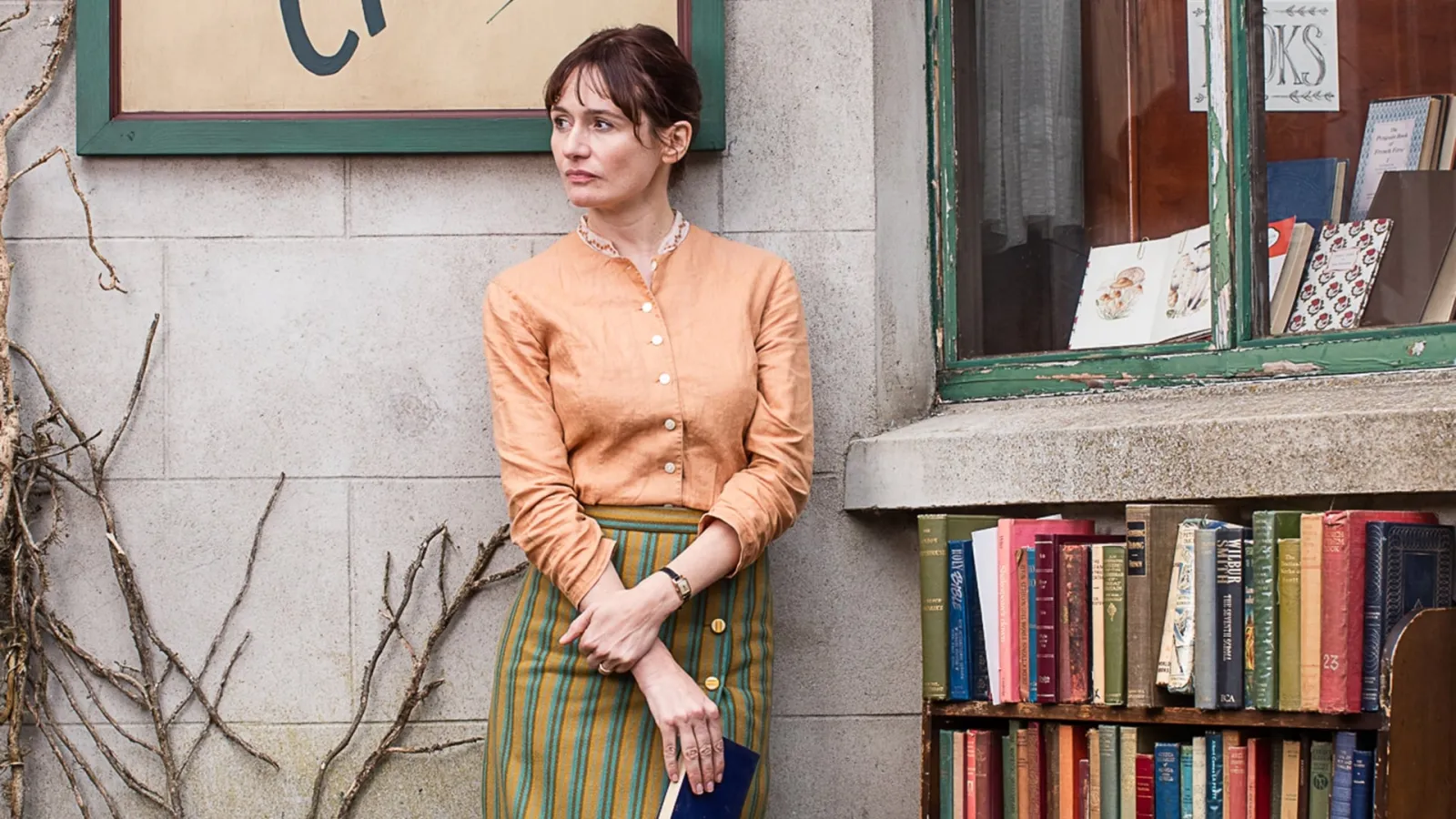 La casa dei libri streaming ita