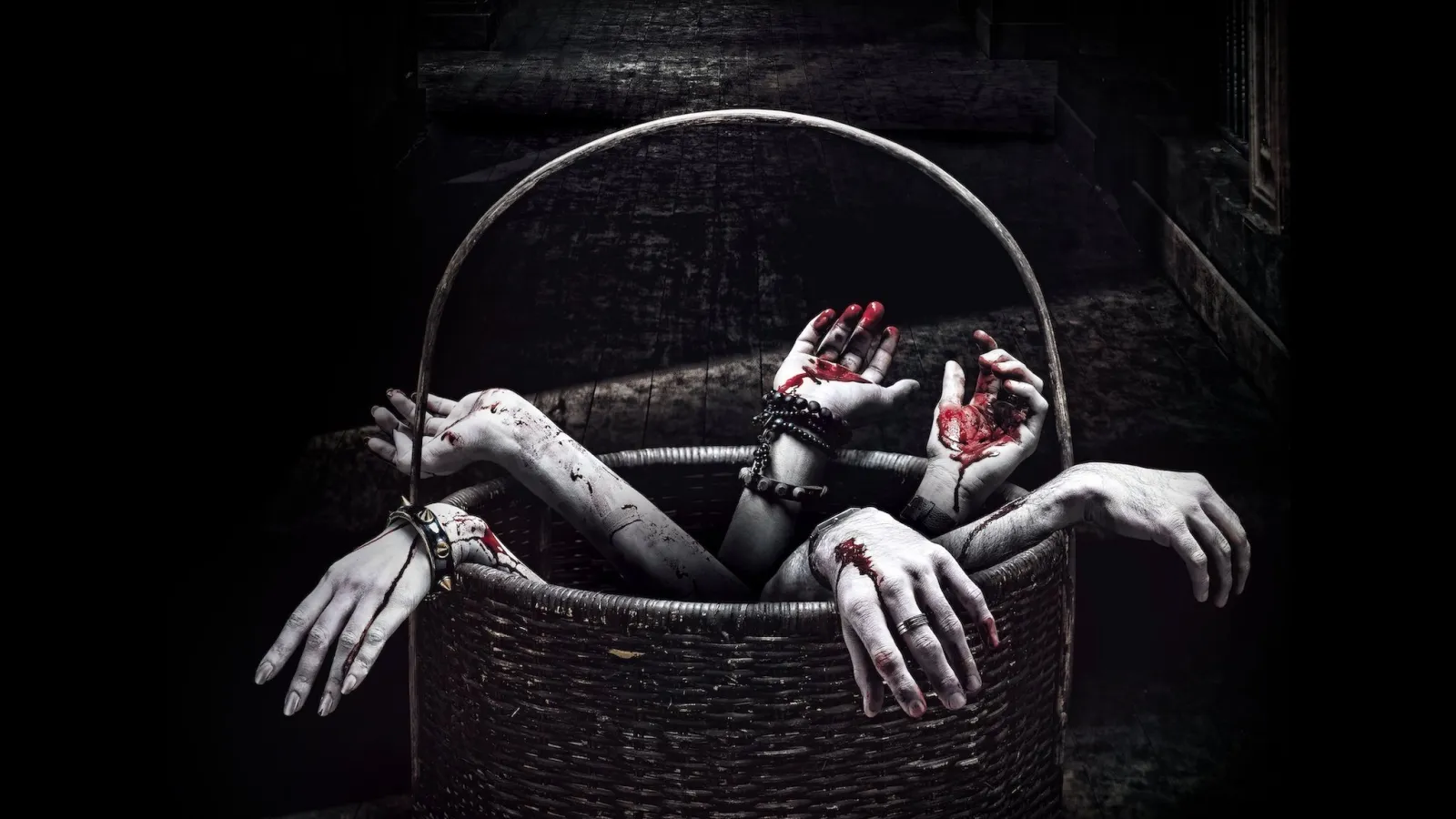 Horror Story streaming ita
