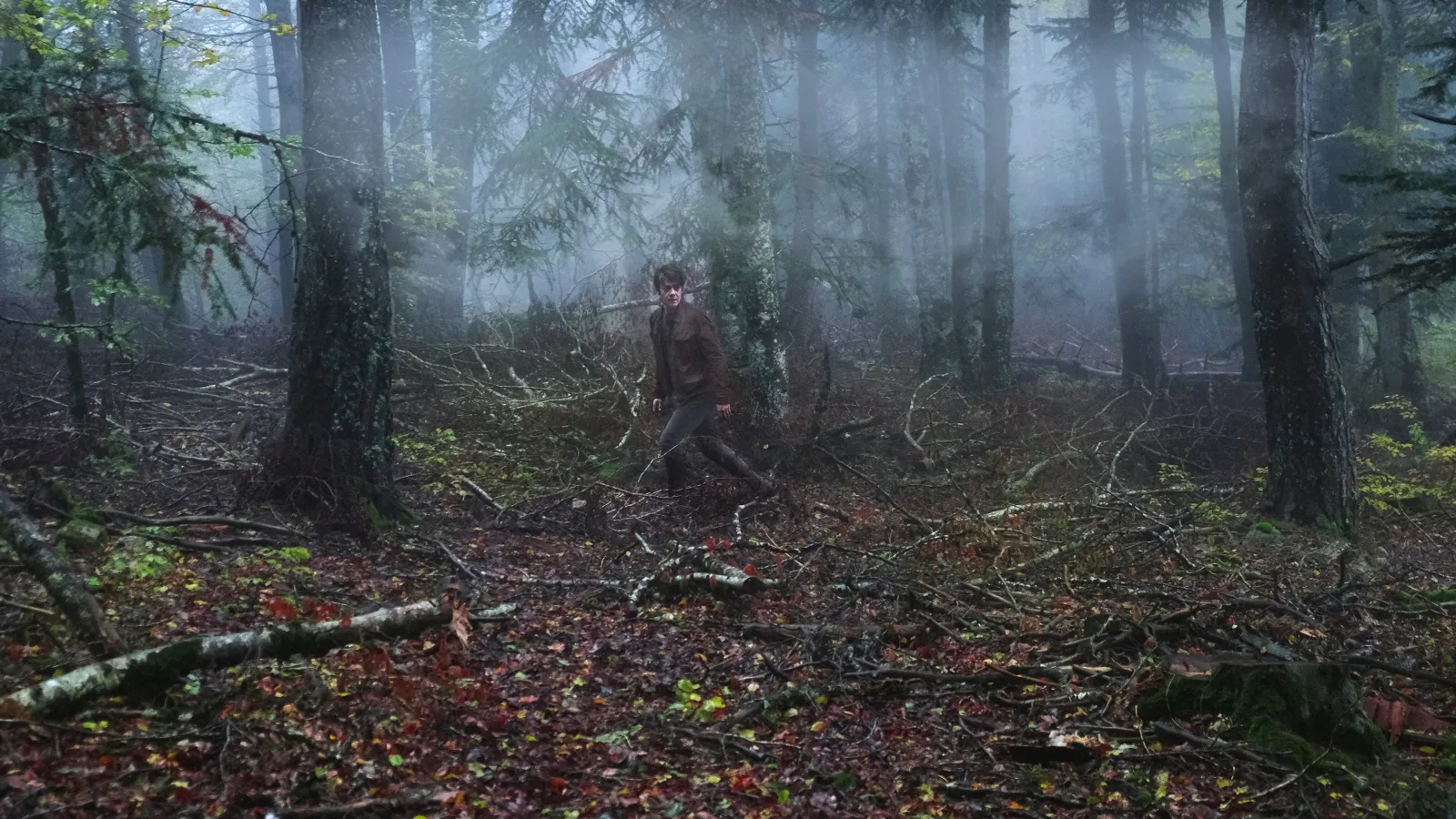 L'uomo nel bosco streaming ita