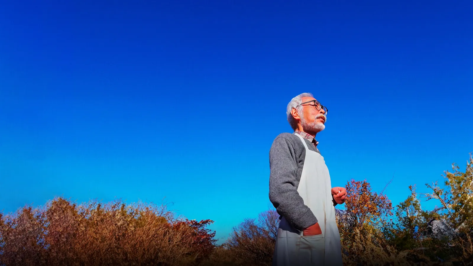 Hayao Miyazaki e l'airone streaming ita