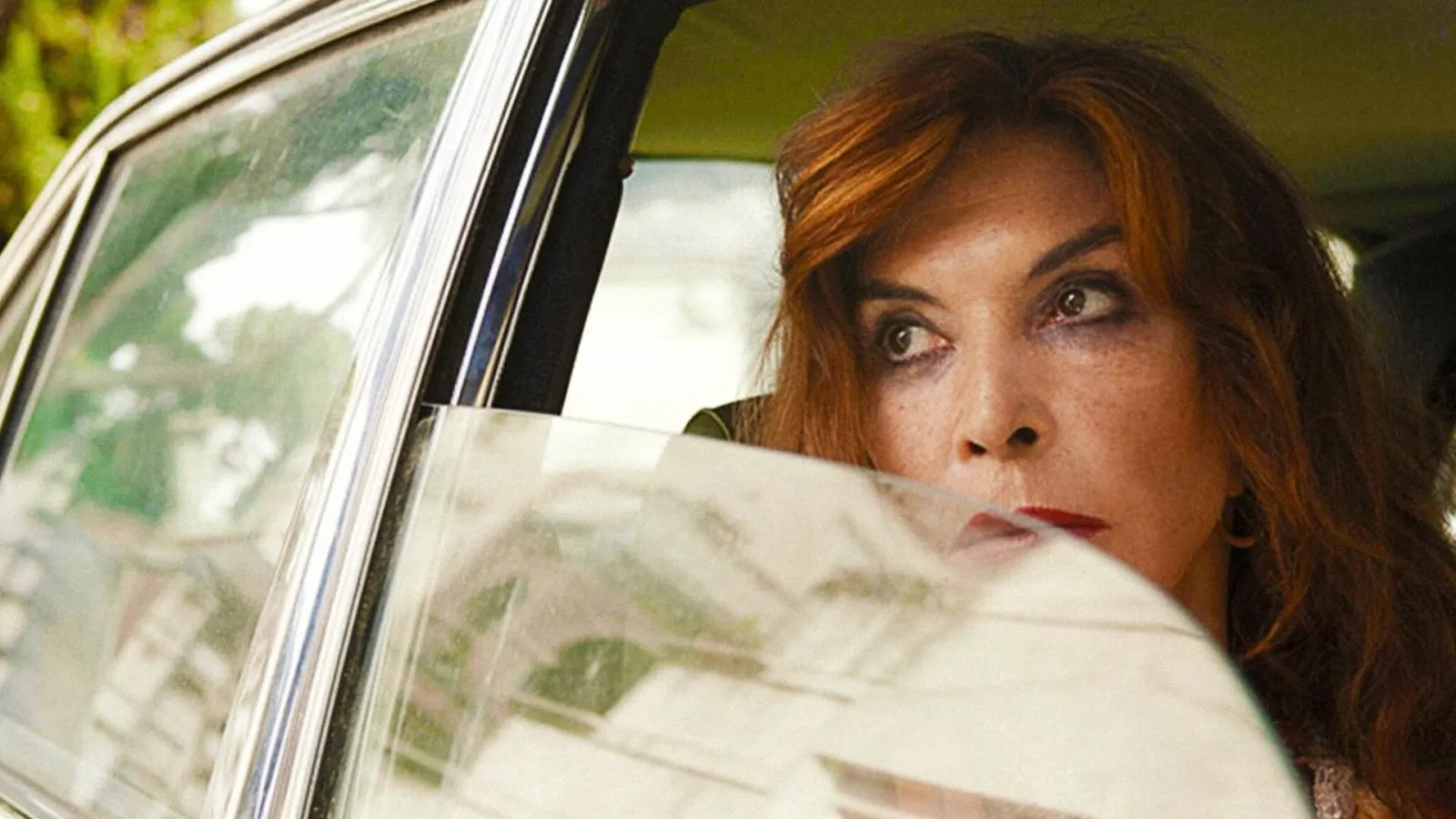 Leone nel basilico streaming ita