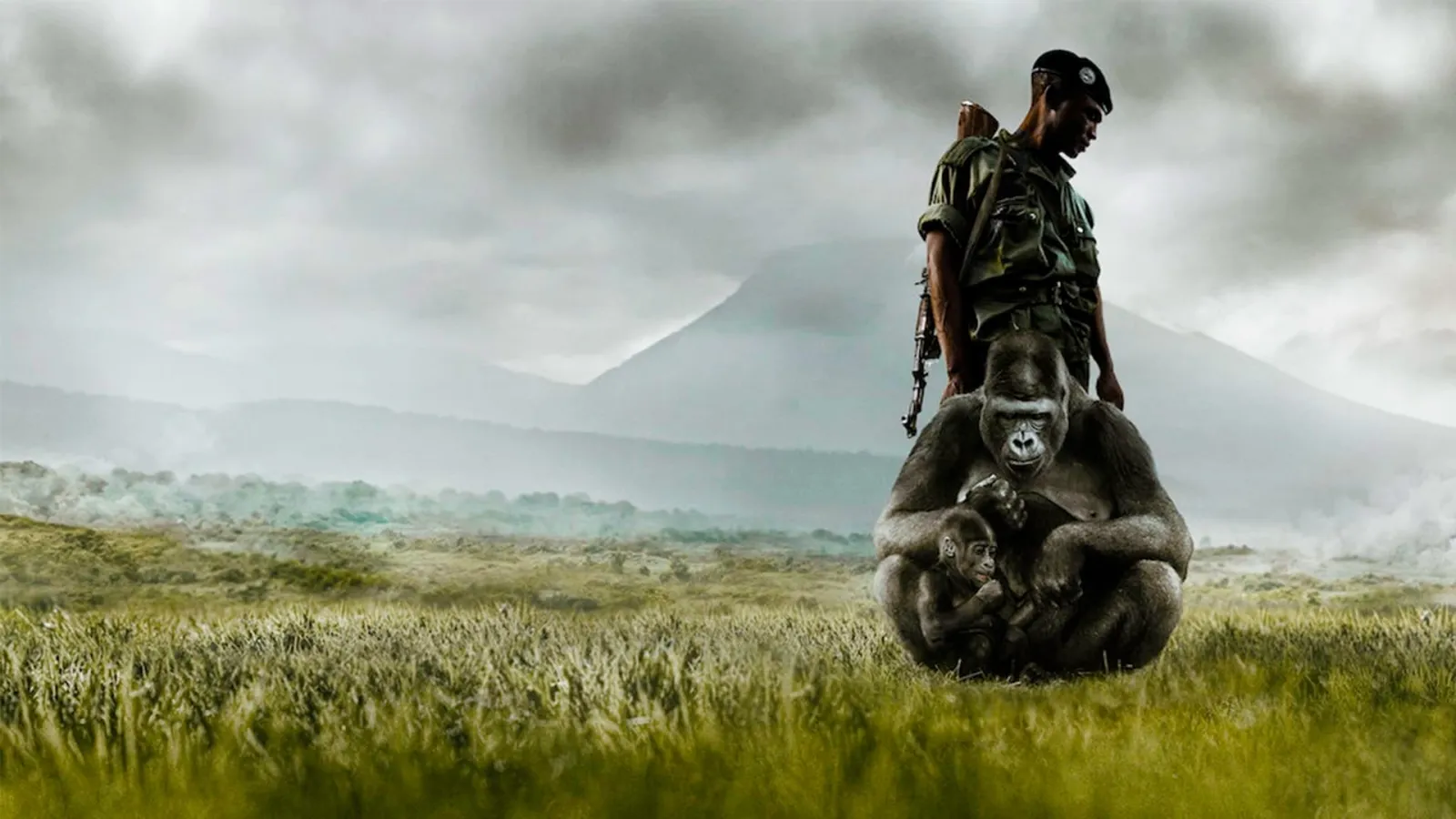 Virunga streaming ita