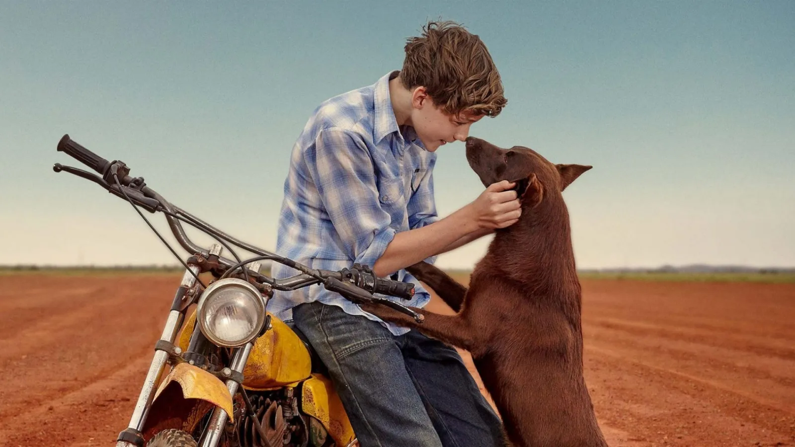 Red Dog: L'inizio streaming ita
