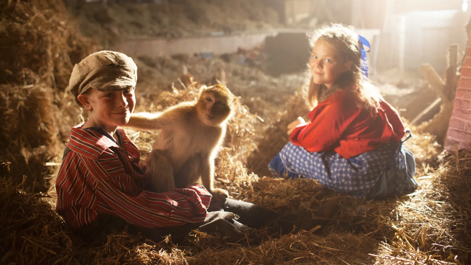 Monkey Business - Una scimmietta dispettosa streaming ita